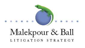 malekpour ball litigation strategy